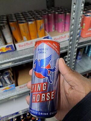 Flying Horse